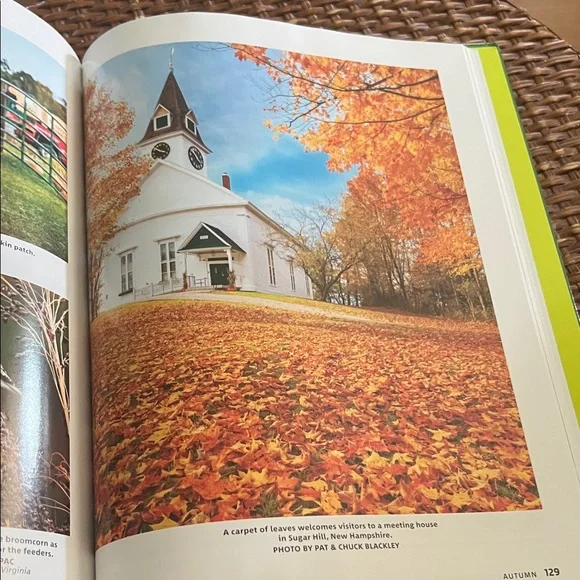 #0969**Sunflower Themed Home Accent Book - Picture 9 of 14